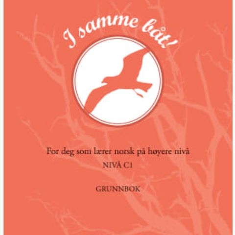 Ubrukt! I samme båt! Grunnbok + arbeidsbok