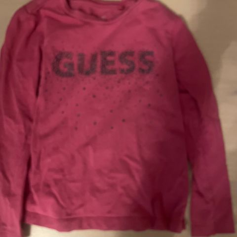 Guess genser