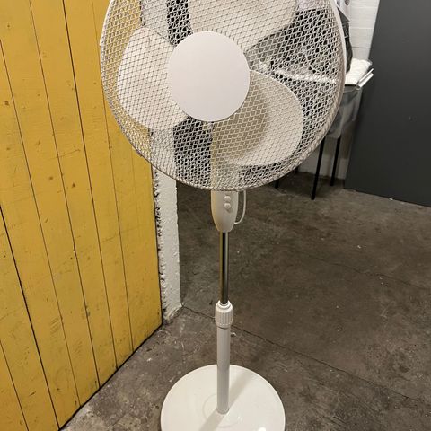 Floor fan