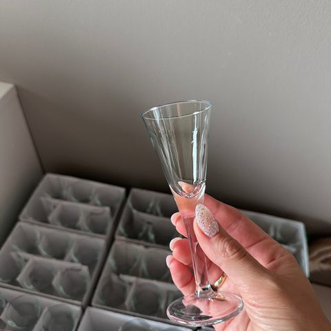 100 stk drammeglass / shotglass