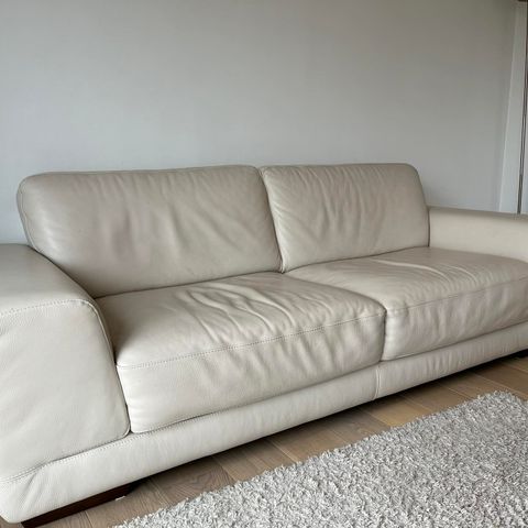 Sofa i skinn