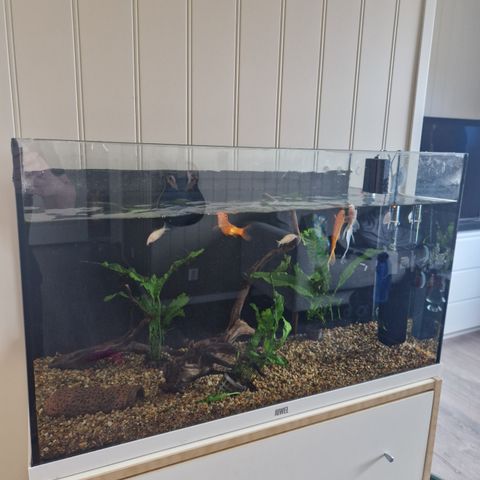 125L Akvarium med utstyr og fisk