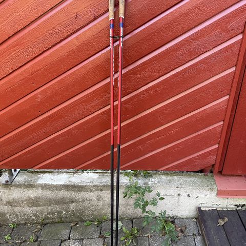 Swix Triac 4.0 Aero Pole