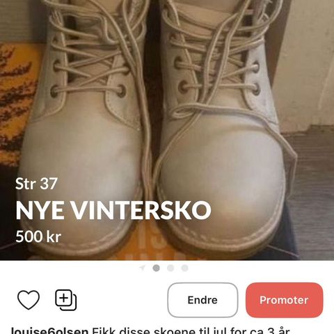 Nye vintersko