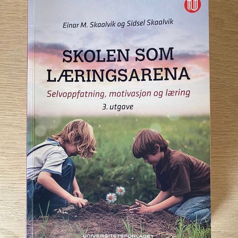 Skolen som læringsarena