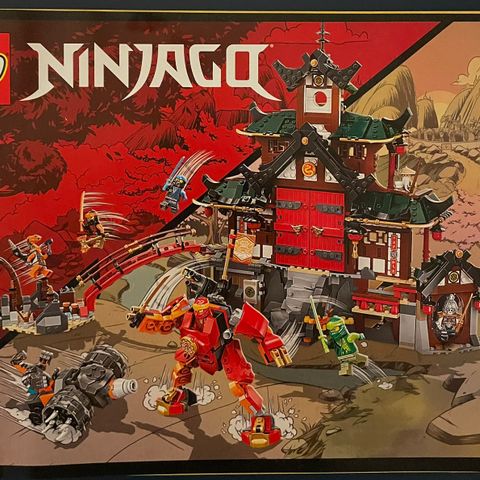 Ninjago 71767