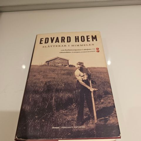 Slåttekar i himmelen. Edvard Hoem