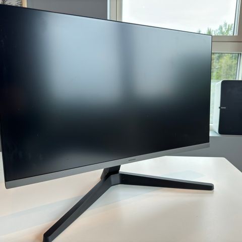 Samsung Monitor (som ny)