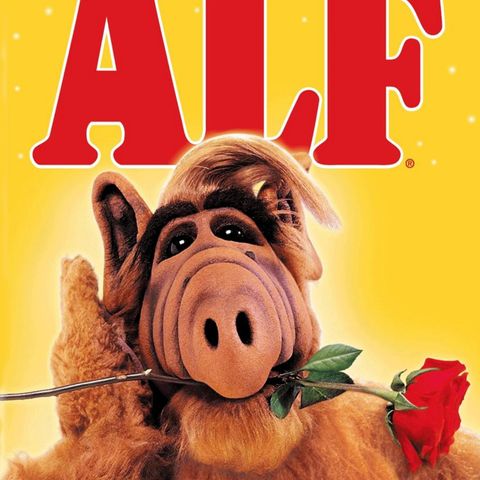 Alf bamse