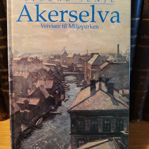 Akerselva- en veiviser til kulturparken