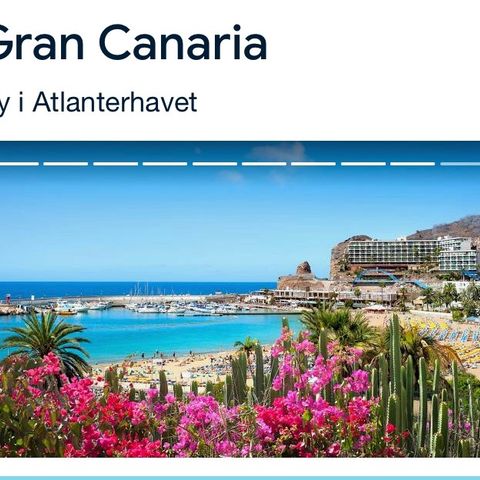 4 flybilletter Stavanger - Gran Canaria t/rt julen, selges helst samlet