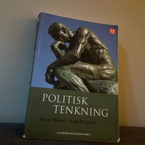 Politisk tenkning