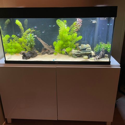 Juwel akvarium 180 L vurderes solgt