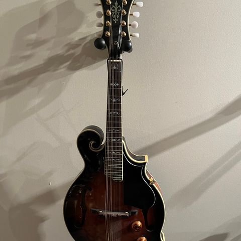 Mandolin og koffert