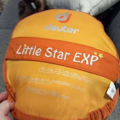 Deuter little star Exp