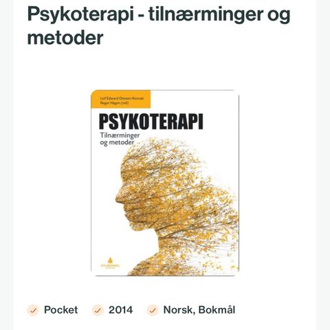 Psykoterapi - tilnærminger og metoder - for psykologistudenter