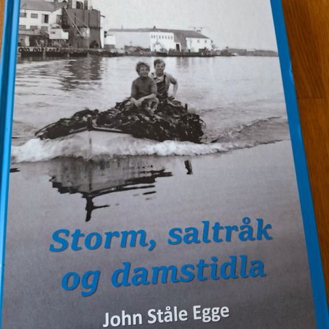 Storm, saltråk og damstidla. Frå livet før i tida frå Karmøy og mest Åkra.