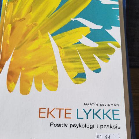 Ekte lykke - Positiv psykologi i praksis