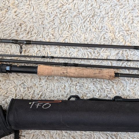 Temple Fork Outfitters professional series 9, 6 #8.