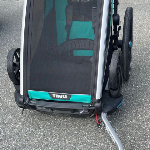 Thule Chariot Lite 1