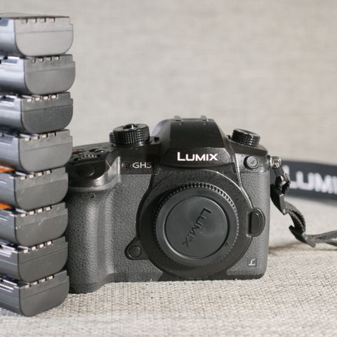 Panasonic LUMIX GH5 Body shutter count 10861 shots