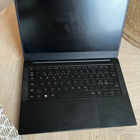 Razer Blade Stealth 13