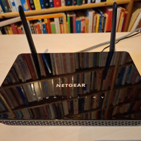 Ruter Netgear 250