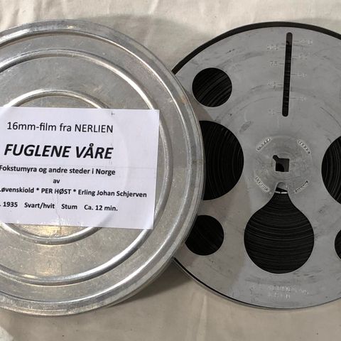 16mm-film: FUGLENE VÅRE. Fokstumyra og andre steder i Norge