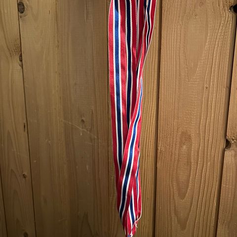 Medaljer og pokal gis bort