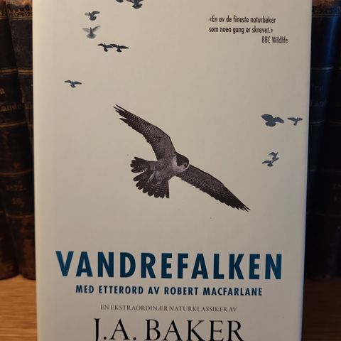 J. A. Baker: Vandrefalken