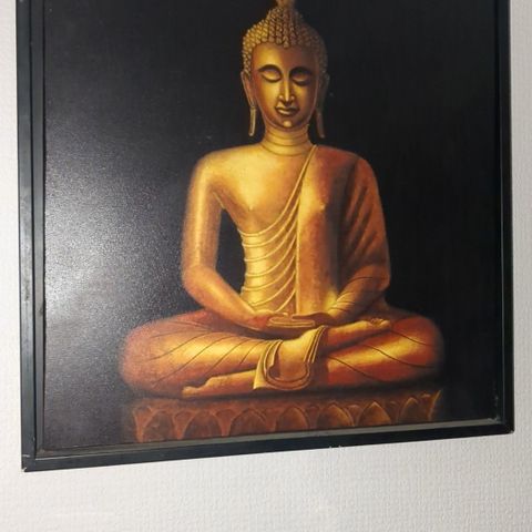 Bilder Buddha