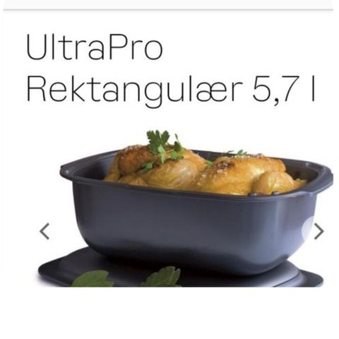 Tuppeware ultra pro NY 5.7 liter