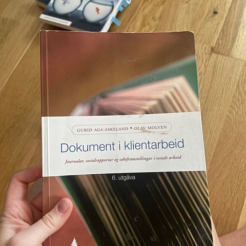 Dokument i klientarbeid 6 utgave