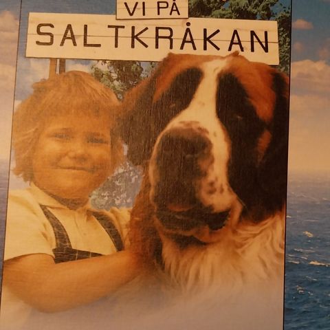 Vi på saltkråkan