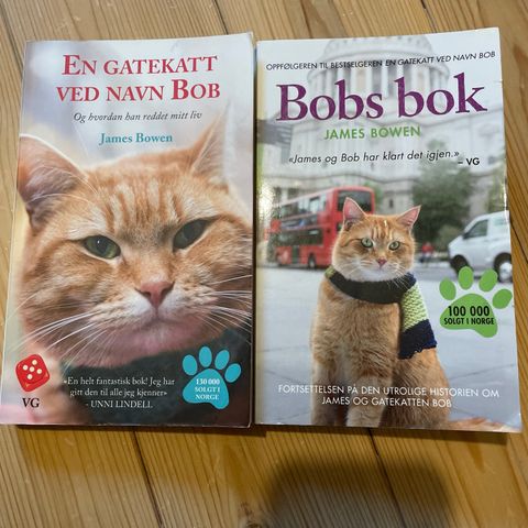 En gatekatt ved navn Bob og Bobs bok