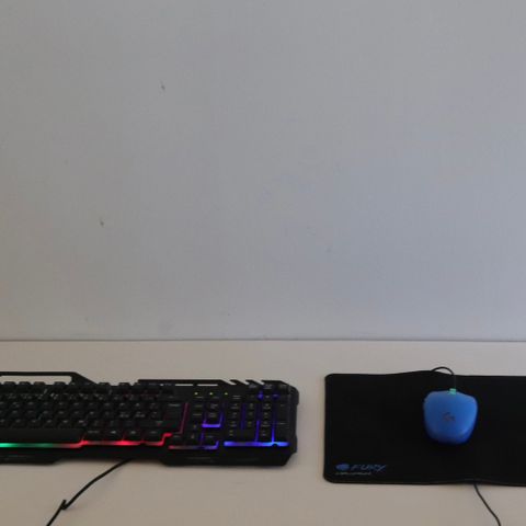 Gaming tastatur og mus