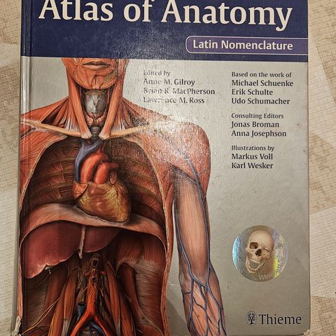 Atlas of Anatomy Thieme