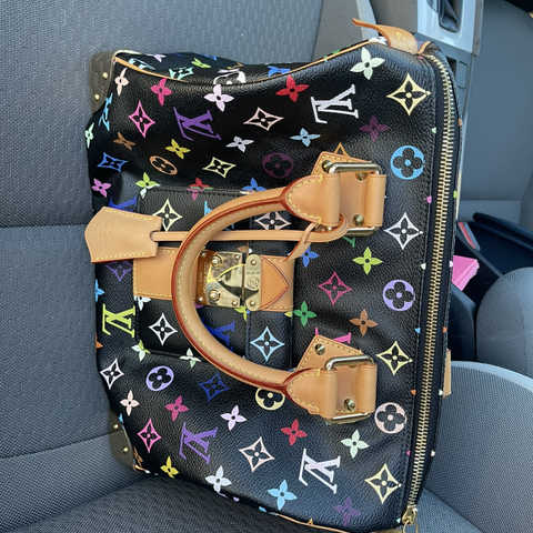 Louis Vuitton Vintage Pre-Owned Speedy Veske Ubrukt