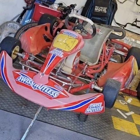 Rotax 125 gokart