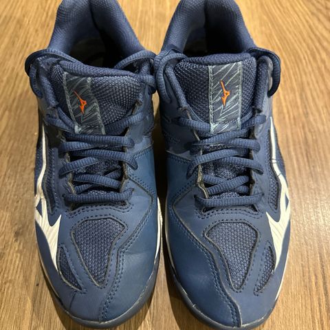 Ubrukte hallsko  Mizuno Lightning Star z6 jr str 36,5