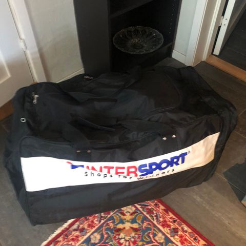 Ishockeybag