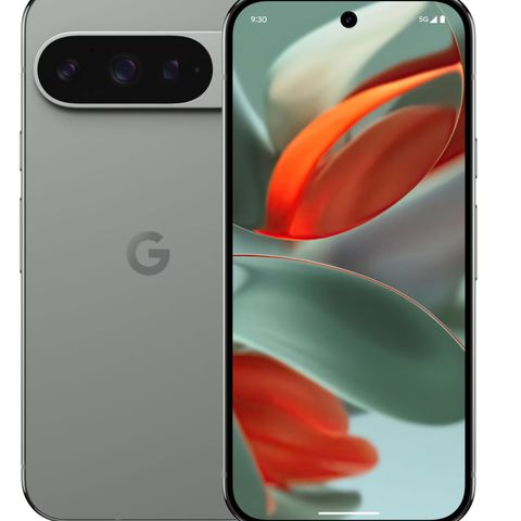 Google Pixel 9 Pro XL 256 GB Hazel