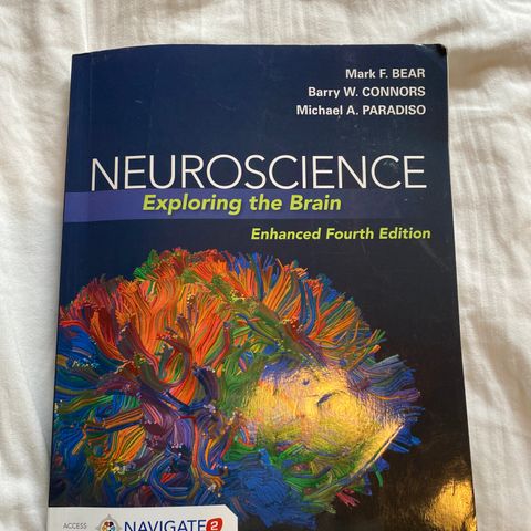 Neuroscience, Exploring the brain.