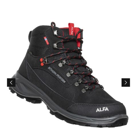 Alfa Bitihorn Perform Gore-Tex, fjellsko, unisex, str 40