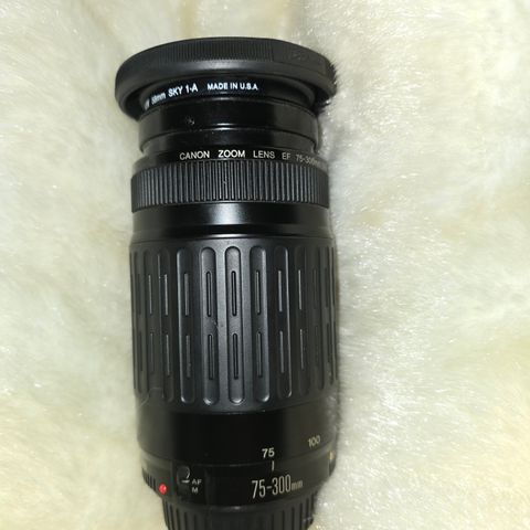 canon 75-300mm 1:4-5.6