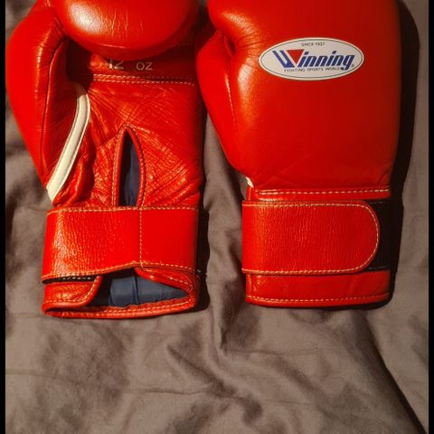 Winning Boxing gloves