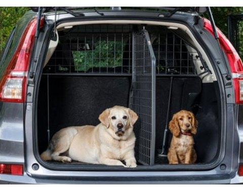 Travall hundegitter med delevegg for Nissan Qashqai +2