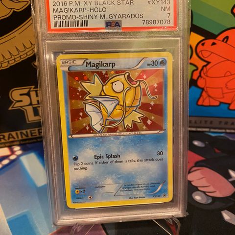 Magikarp #XY143 Black Star Promo i PSA 7