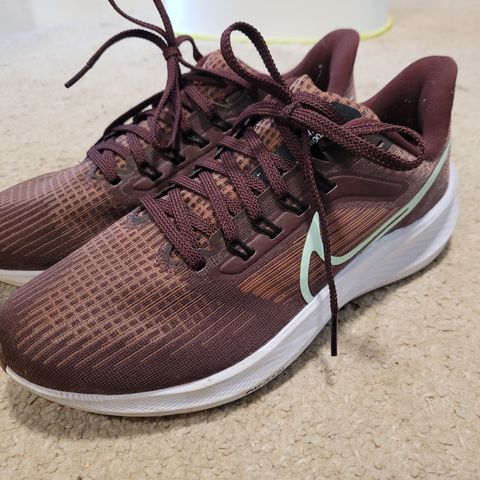 Nike pegasus 38,5 ubrukt