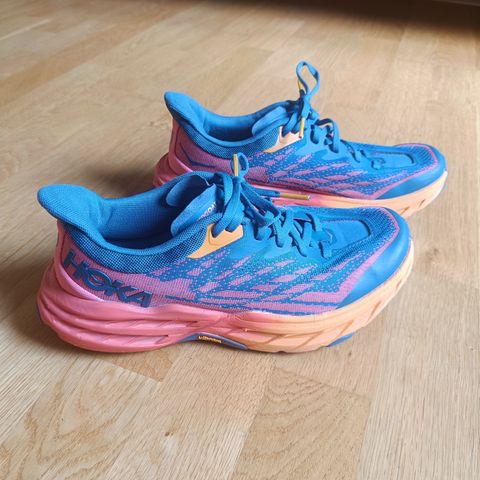 Hoka speedgoat 5